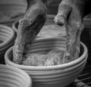 Grand Pere Jules Boulangerie Rennes ARTISAN BOULANGER 1 1