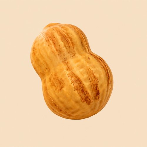 Grand Pere Jules Boulangerie Rennes 788575B4 2839 44DE 8428 BBA12493436A